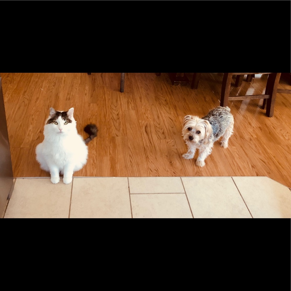 Meet your Posher, Alesia